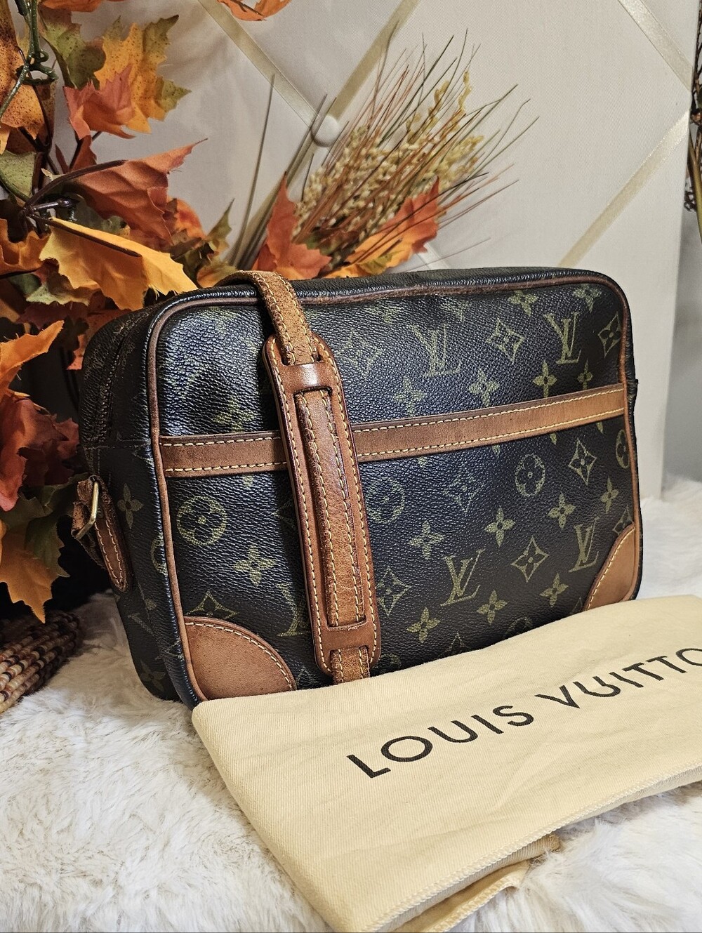 Louis Vuitton Trocadero crossbody bag